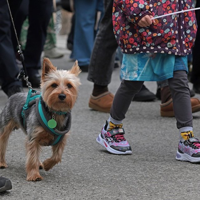 1. maí 2025 - Kröfuganga frá Alþýðuhúsinu að Hofi. Mynd: Skapti Hallgrímsson