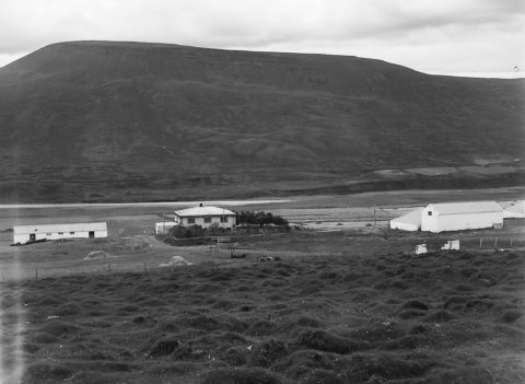 Þetta er Ytri-Langamýri í Svínavatnshreppi, í Austur-Húnavatnssýslu. Ólafur Jónsson, ráðunautur og rithöfundur,  tók þessa mynd.