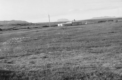 Grímstunga á Hólsfjöllum.  „Drottningin“ Herðubreið í fjarska. Ólafur Jónsson, ráðunautur og rithöfundur,  tók þessa mynd.