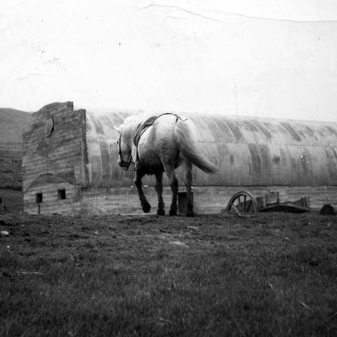 Ekki er vitað hvar þessi mynd er tekin eða hver ljósmyndarinn er. Þeir sem kunna að búa yfir upplýsingum um myndina eru hvattir til að senda þær til Minjasafnsins á Akureyri, á netfangið hg@minjasafnid.is - Minjasafnið á Akureyri / m-stae1-6741 frá Minjasafninu á Akureyri