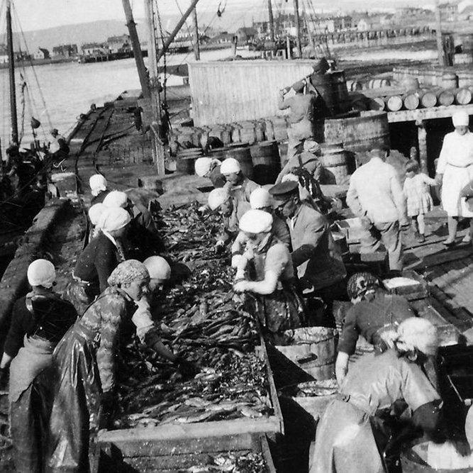 Nokkrar tilgátur bárust um þessa mynd af síldarsöltun en það þykir næsta víst að hún sé frá Ísafirði - m-stae1-15268 frá Minjasafninu á Akureyri