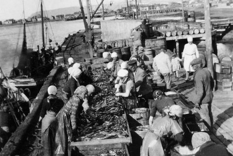 Nokkrar tilgátur bárust um þessa mynd af síldarsöltun en það þykir næsta víst að hún sé frá Ísafirði - m-stae1-15268 frá Minjasafninu á Akureyri