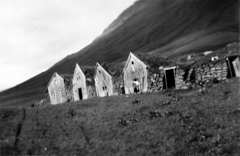 Þetta eru gömlu bæjarhúsin í Litla-Dal í Eyjafjarðarsveit, áður Saurbæjarhreppi. Litladalur er innsti byggði bærinn í Djúpadal. - / m-stae1-15663  frá Minjasafninu á Akureyri