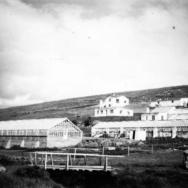 Þetta er Brúnalaug í Eyjafjarðarsveit, áður í Öngulstaðahreppi. Þar hefur lengi verið rekin garðyrkjustöð.  / m-stae1-16289 frá Minjasafninu á Akureyri