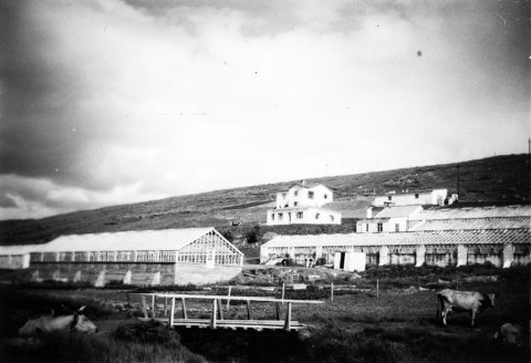 Þetta er Brúnalaug í Eyjafjarðarsveit, áður í Öngulstaðahreppi. Þar hefur lengi verið rekin garðyrkjustöð.  / m-stae1-16289 frá Minjasafninu á Akureyri