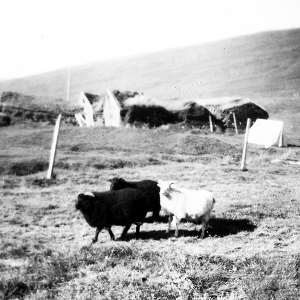 Hefurðu hugmynd um hvar þessi mynd er tekin? Þeir sem kunna að búa yfir upplýsingum um myndina eru hvattir til að senda þær á netföngin hg@minjasafnid.is og skapti@akureyri.net - / m-stae1-16364  frá Minjasafninu á Akureyri