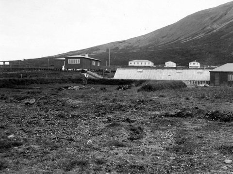 Þetta er á Laugarvatni í Biskupstungum. „Dökka húsið er gamli Húsmæðraskólinn“ sagði í pósti frá einum þeirra lesenda sem sendi upplýsingar.- / m-stae2-1254 frá Minjasafninu á Akureyri
