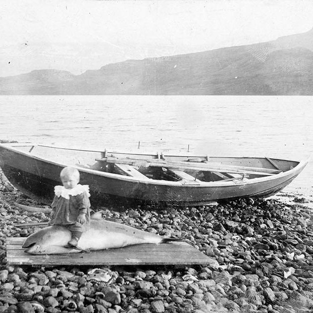 Þetta er á Eskifirði, eins og margir lesendur töldu. Ábending barst um að myndin hefði birst á Facebook síðunni Lemúrinn árið 2016. Á síðu Lemúrsins segir: Eins árs gamall drengur á hnísubaki á Eskifirði 1906. Mynd: Ingimundur Sveinsson. Þar er myndin merkt Þjóðminjasafni Íslands og á hana er stimplað: Ingimundur Sveinsson sönglistarmaður. 
Einn lesenda akureyri.net taldi sig eiga að vita nafn barnsins á myndinni en mundi það ekki í svipinn. Spennandi verður að sjá hvort það rifjast upp fyrir honum. - / mstae-5-2040 frá Minjasafninu á Akureyri