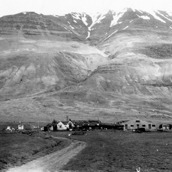 Myndin  hér að neðan birtist fyrir viku. Þetta er bærinn Syðra-Dalsgerði í Eyjafjarðarsveit – áður Saurbæjarhreppi – sem stendur undir Hvassafellsfjall. Fremsti hnjúkur fjallsins kallast Hestur og er með hærri toppum í Eyjafjarðarsveit. Hestur sést reyndar ekki á þessari mynd. / m-stae1-17345 frá Minjasafninu á Akureyri