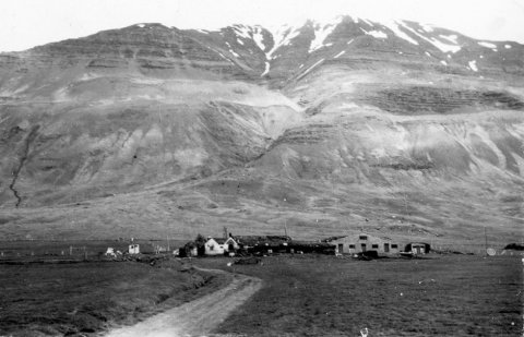 Myndin  hér að neðan birtist fyrir viku. Þetta er bærinn Syðra-Dalsgerði í Eyjafjarðarsveit – áður Saurbæjarhreppi – sem stendur undir Hvassafellsfjall. Fremsti hnjúkur fjallsins kallast Hestur og er með hærri toppum í Eyjafjarðarsveit. Hestur sést reyndar ekki á þessari mynd. / m-stae1-17345 frá Minjasafninu á Akureyri