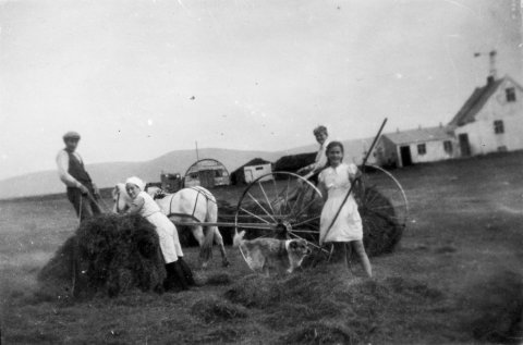 Þetta er bærinn Búland í Arnarneshreppi norðan Akureyrar og fólkið er Halldór Ólafsson bóndi, Sigríður Margrét Ólafsdóttir, Hákon norskur strákur sem var þar hjá þeim og Kristín Halldórsdóttir. - Sigríður M. Sigurðardóttir sendi þessar upplýsingar. Agnes Egilsdóttir bætti við og telur að myndin sé tekin sumarið 1947. - Arnarneshreppur var norðan Akureyrar. Árið 2010 sameinaðist hann Hörgárbyggð undir nafninu Hörgársveit – (Hörgárbyggð varð til 1. janúar 2001 þegar Glæsibæjarhreppur, Öxnadalshreppur og Skriðuhreppur sameinuðust). - / m-stae1-17778 frá Minjasafninu á Akureyri