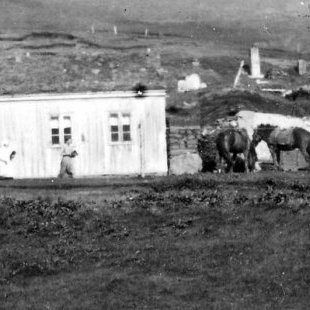 39 - Þetta er Hleiðargarður í gamla Saurbæjarhreppi í Eyjafirði. Seinna var byggt á milli baðstofunnar og fjóssins, sem var byggt 1927. Fjósið er nyrst, lengst til hægri á myndinni. Til vinstri við hestana er baðstofan, það var búið í þessu húsi allt til 1974 - 1979. Myndin er tekin um 1934. -  Minjasafnið á Akureyri / Album 041-095