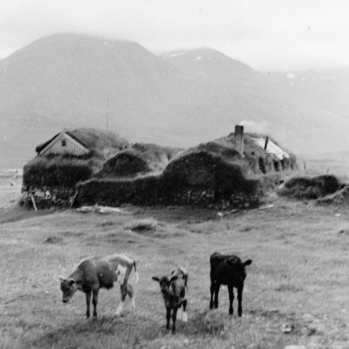 Torfbær í Svarfaðardal. Horft í áttina að Stólnum, gæti verið bærinn Steindyr en þó talið líklegra að það sé Þverá - Minjasafnið á Akureyri / Album 42-20.