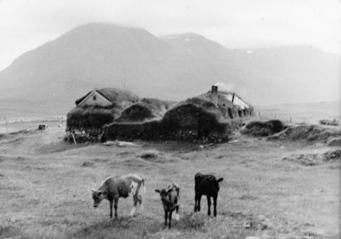 Torfbær í Svarfaðardal. Horft í áttina að Stólnum, gæti verið bærinn Steindyr en þó talið líklegra að það sé Þverá - Minjasafnið á Akureyri / Album 42-20.