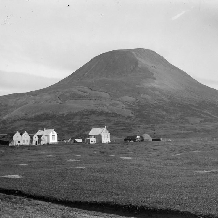 Guðmundur Trjámannsson, ljósmyndari á Akureyri, tók þessa mynd. Þær upplýsingar hafa borist að þetta sé Hafrafellstunga í Öxarfirði - nafnið á bænum var oft stytt og hann kallaður Tunga. Minjasafnið á Akureyri / 15-15021
