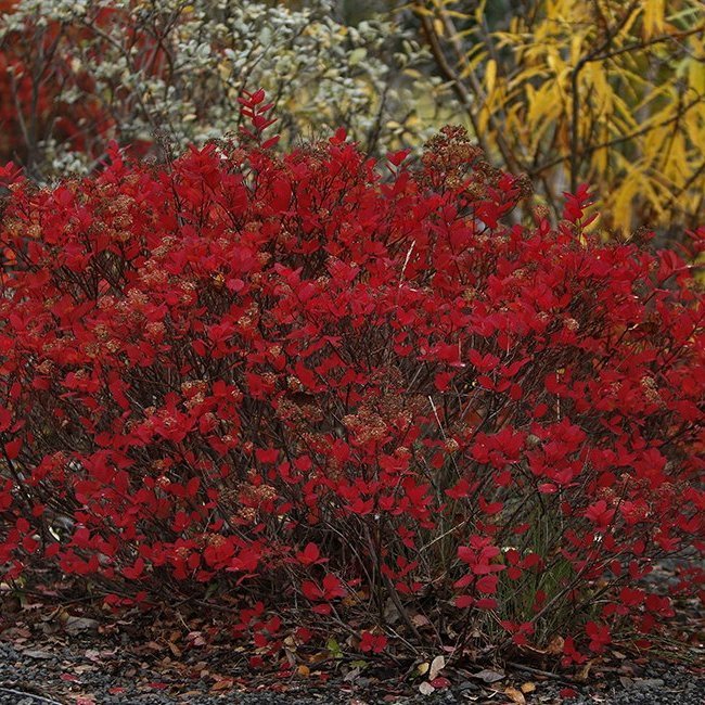 Haust 2023 – © Skapti Hallgrímsson