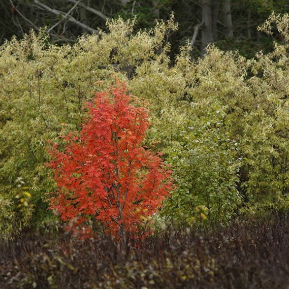 Haust 2023 – © Skapti Hallgrímsson