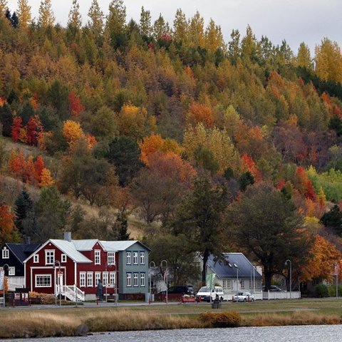 Haust 2023 – © Skapti Hallgrímsson