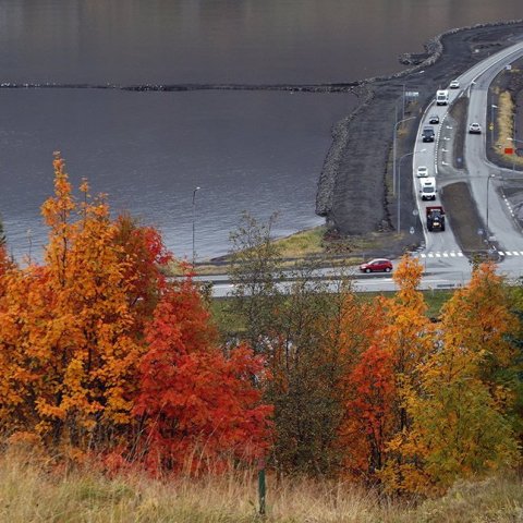 Haust 2023 – © Skapti Hallgrímsson