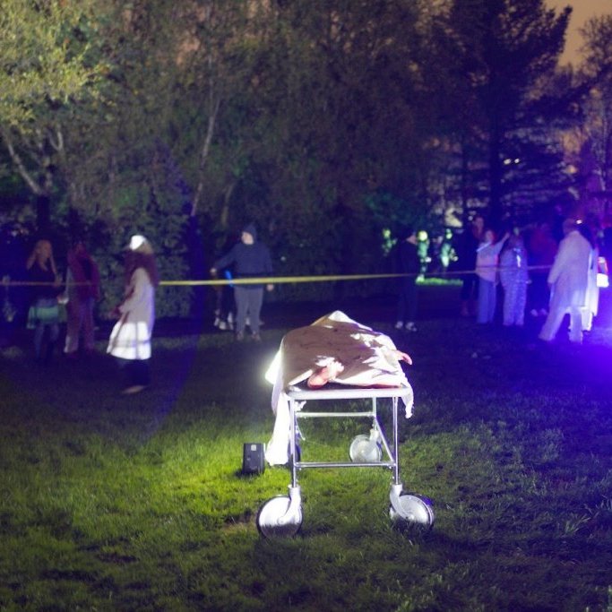 Akureyrarvaka 2025 - Draugaslóð á Hamarkotstúni á föstudagskvöldi. Mynd: Hilmar Friðjónsson