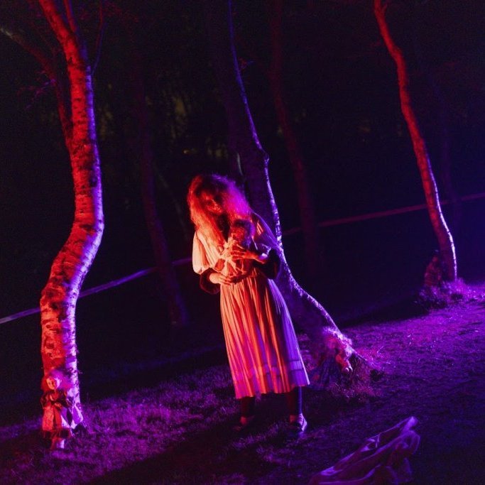 Akureyrarvaka 2025 - Draugaslóð á Hamarkotstúni á föstudagskvöldi. Mynd: Hilmar Friðjónsson