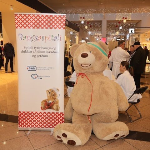 Dagur sjúkrahússins 2025. Mynd: Þorgeir Baldursson