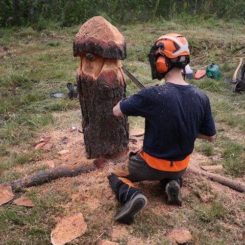 Skógardagur í Kjarnaskógi. Ljósmynd: Skapti Hallgrímsson