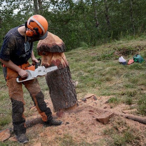 Skógardagur í Kjarnaskógi. Ljósmynd: Skapti Hallgrímsson