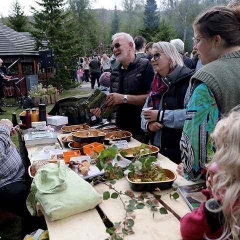 Skógardagur í Kjarnaskógi. Ljósmynd: Skapti Hallgrímsson