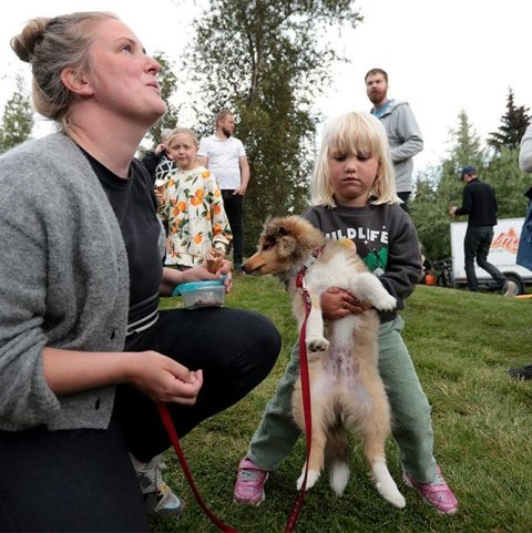 Skógardagur í Kjarnaskógi. Ljósmynd: Skapti Hallgrímsson