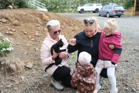 Fram í fjörð, sveitahátíð í Eyjafjarðarsveit. Holtsel, þar sem 20 ára afmæli ísbúðarinnar á bænum er fagnað um þessar mundir. Mynd: Þorgeir Baldursson