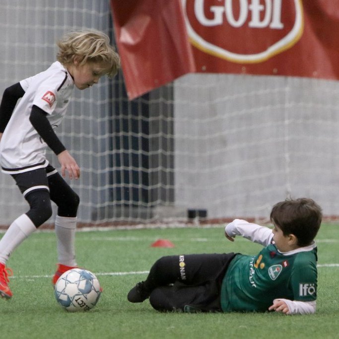 godamot-2021-6-fl_3329