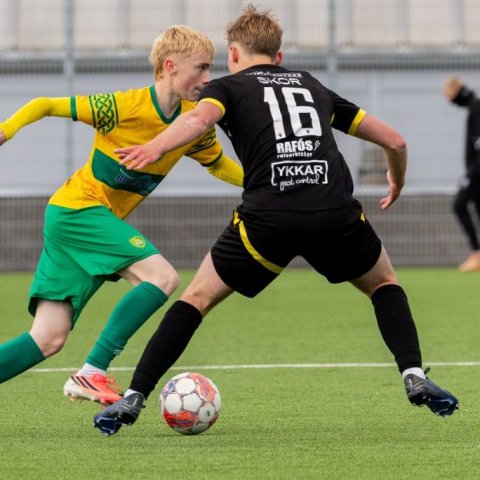 arm_2702.jpg