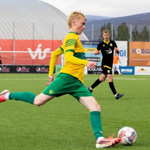 arm_2747.jpg