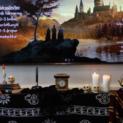 Harry Potter þemadagar Glerárskóla 2025. Ljósmyndari: Rakel Hinriksdóttir