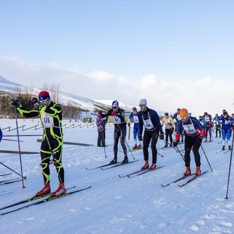 Hermannsmótið á gönguskíðum - Ljósmynd: Ármann Hinrik