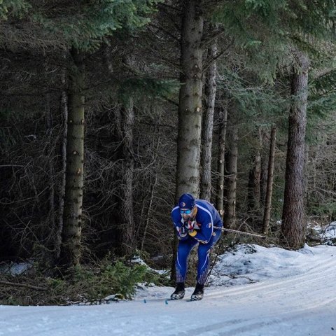 Hermannsmótið á gönguskíðum - Ljósmynd: Ármann Hinrik