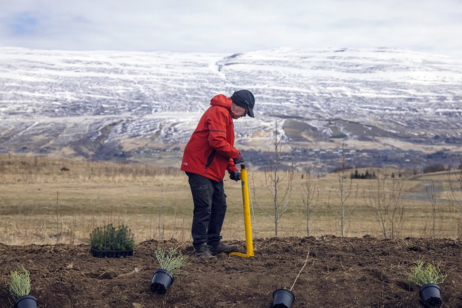 Hjaltalundur stofnaður á Hömrum með táknrænni trjáplöntun; í minningu Hjalta Snæs Árnasonar, sem lést 22 ára gamall eftir að hafa ekki fengið viðeigandi aðstoð á réttum tíma. Mynd: Hilmar Friðjónsson