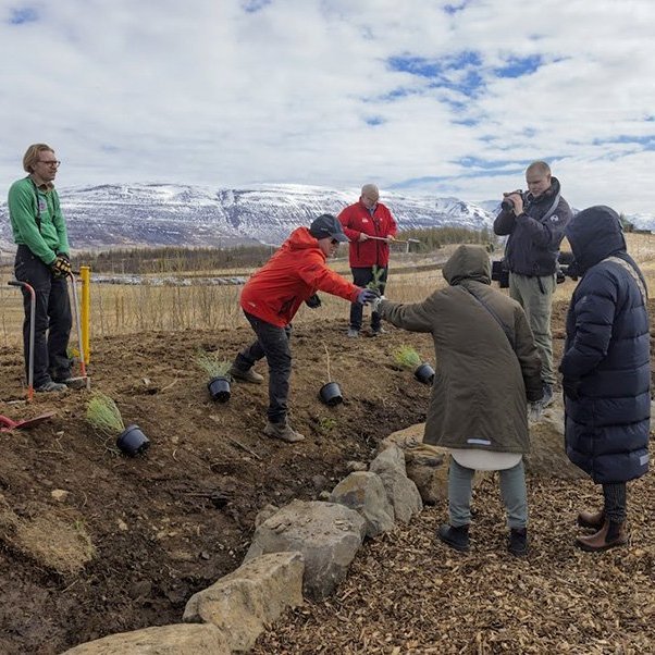 Hjaltalundur stofnaður á Hömrum með táknrænni trjáplöntun; í minningu Hjalta Snæs Árnasonar, sem lést 22 ára gamall eftir að hafa ekki fengið viðeigandi aðstoð á réttum tíma. Mynd: Hilmar Friðjónsson