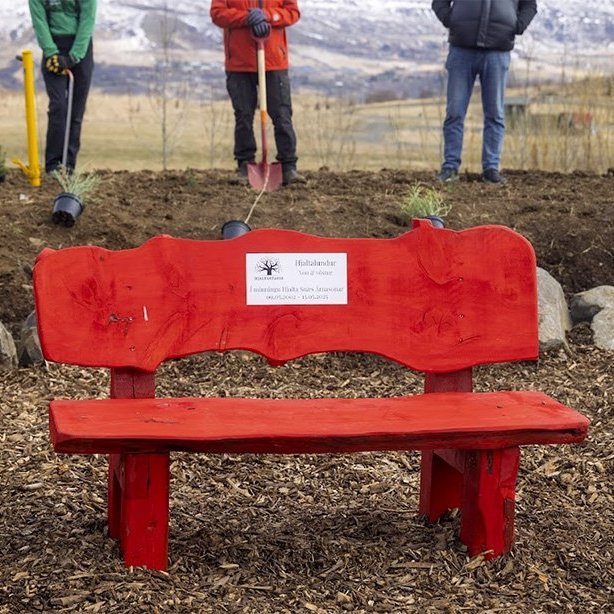 Hjaltalundur stofnaður á Hömrum með táknrænni trjáplöntun; í minningu Hjalta Snæs Árnasonar, sem lést 22 ára gamall eftir að hafa ekki fengið viðeigandi aðstoð á réttum tíma. Mynd: Hilmar Friðjónsson