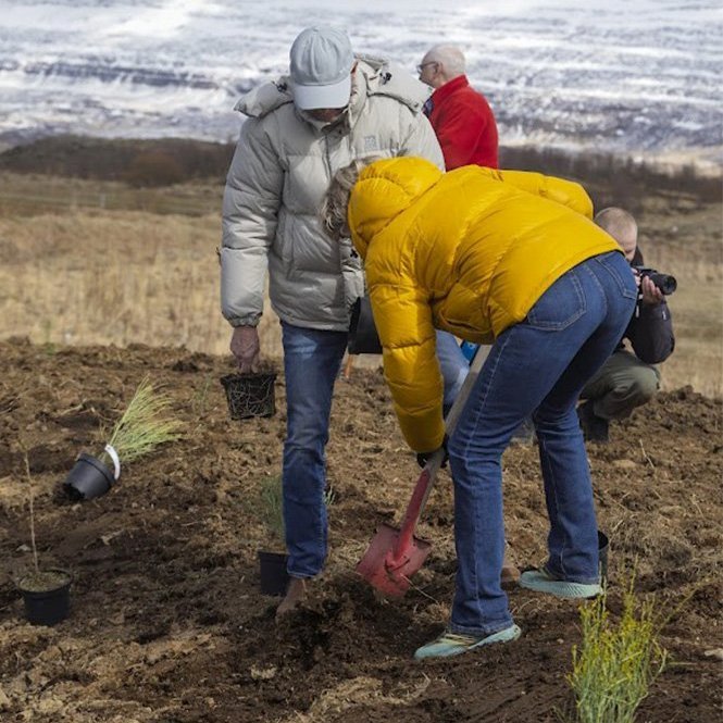 Hjaltalundur stofnaður á Hömrum með táknrænni trjáplöntun; í minningu Hjalta Snæs Árnasonar, sem lést 22 ára gamall eftir að hafa ekki fengið viðeigandi aðstoð á réttum tíma. Mynd: Hilmar Friðjónsson