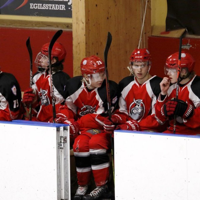 SA Víkingar - Fjölnir 2:4, Íslandsmótið í íshokkí, Hertz-deildin, Skautahöllinni á Akureyri laugardag 27. febrúar 2021. Ljósmynd: Skapti Hallgrímsson