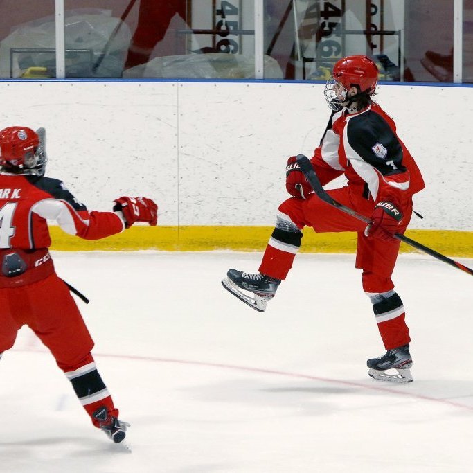 SA Víkingar - Fjölnir 8:2, Íslandsmótið í íshokkí, Hertz-deildin, Skautahöllinni á Akureyri föstudag 26. febrúar 2021. Ljósmynd: Skapti Hallgrímsson