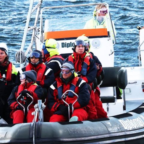 Hvalaskoðun í Eyjafirði 2024