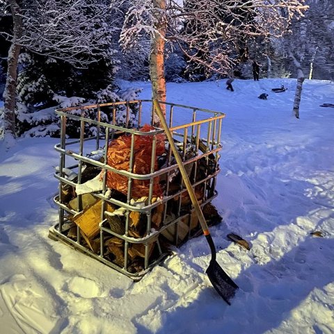 Jólatrésskemmtun í Kjarnaskógi