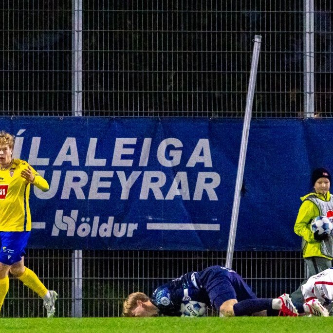 Mynd: Ármann Hinrik
