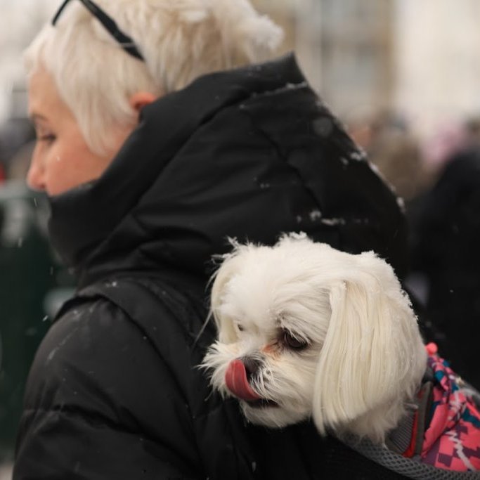 Kvennafrídagurinn 2025. Baráttu- og samstöðufundi á Ráðhústorgi á Akureyri. Mynd: Anastasiia LeoNova Kramarenko