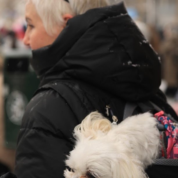 Kvennafrídagurinn 2025. Baráttu- og samstöðufundi á Ráðhústorgi á Akureyri. Mynd: Anastasiia LeoNova Kramarenko