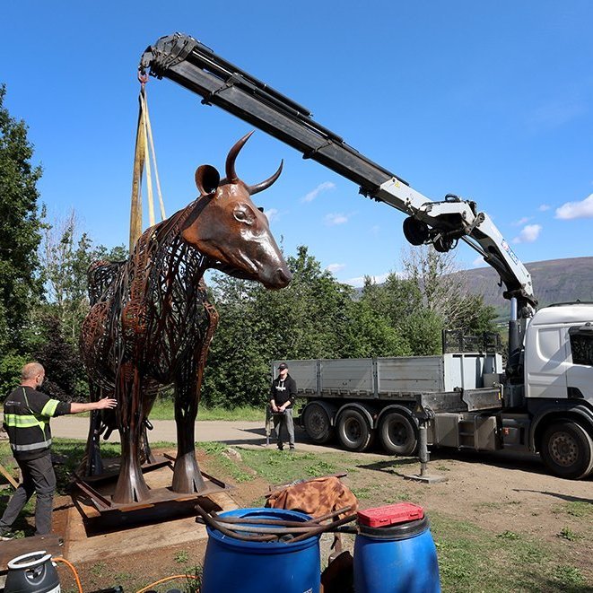 Kýrin Edda flutt úr Kristnesi að Sólgarði  – © Skapti Hallgrímsson