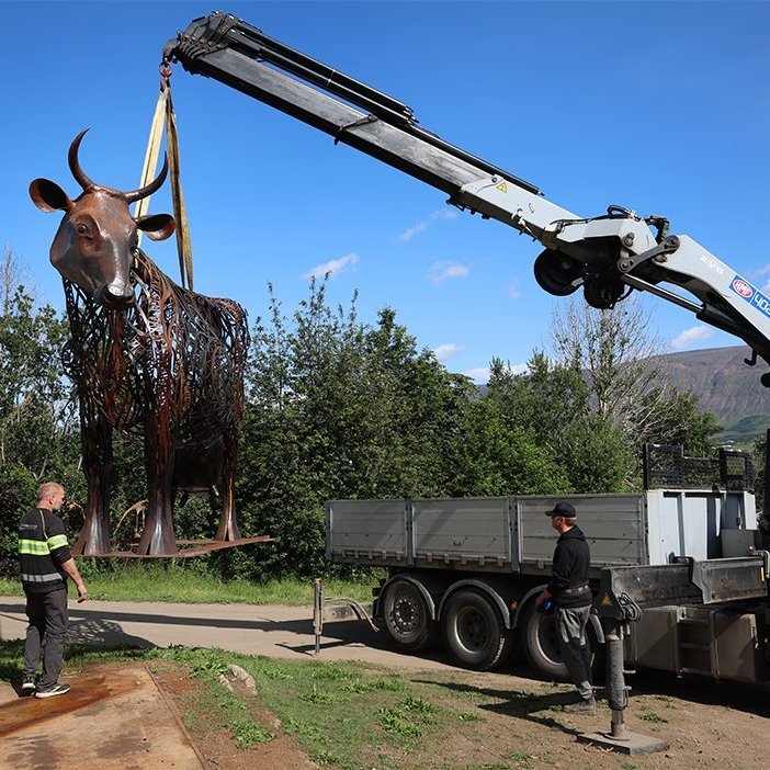 Kýrin Edda flutt úr Kristnesi að Sólgarði  – © Skapti Hallgrímsson